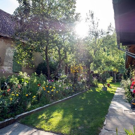 Villa Rihuini Eco Wine House Transylvania Richisu Εξωτερικό φωτογραφία