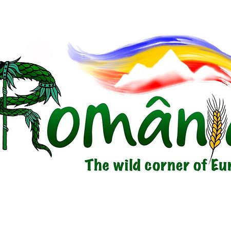 Villa Rihuini Eco Wine House Transylvania Richisu Εξωτερικό φωτογραφία