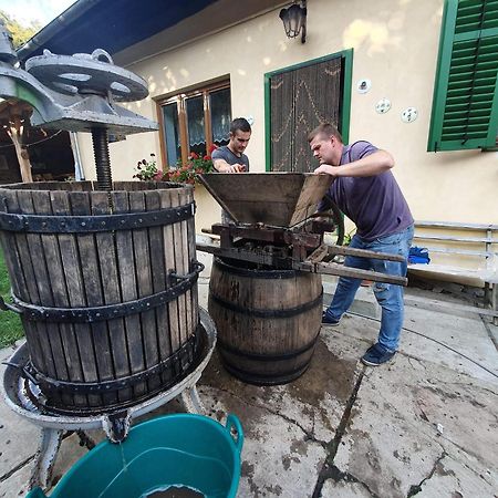 Villa Rihuini Eco Wine House Transylvania Richisu Εξωτερικό φωτογραφία