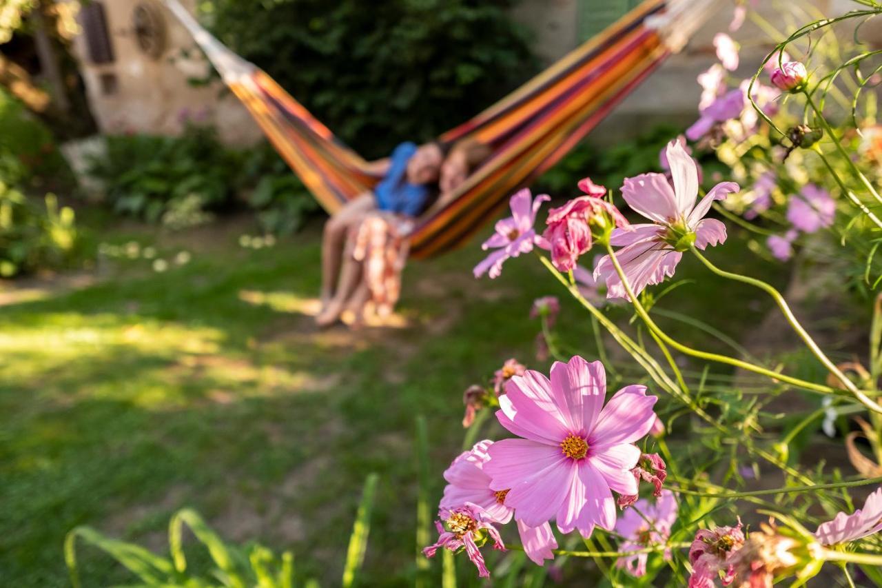Villa Rihuini Eco Wine House Transylvania Richisu Εξωτερικό φωτογραφία