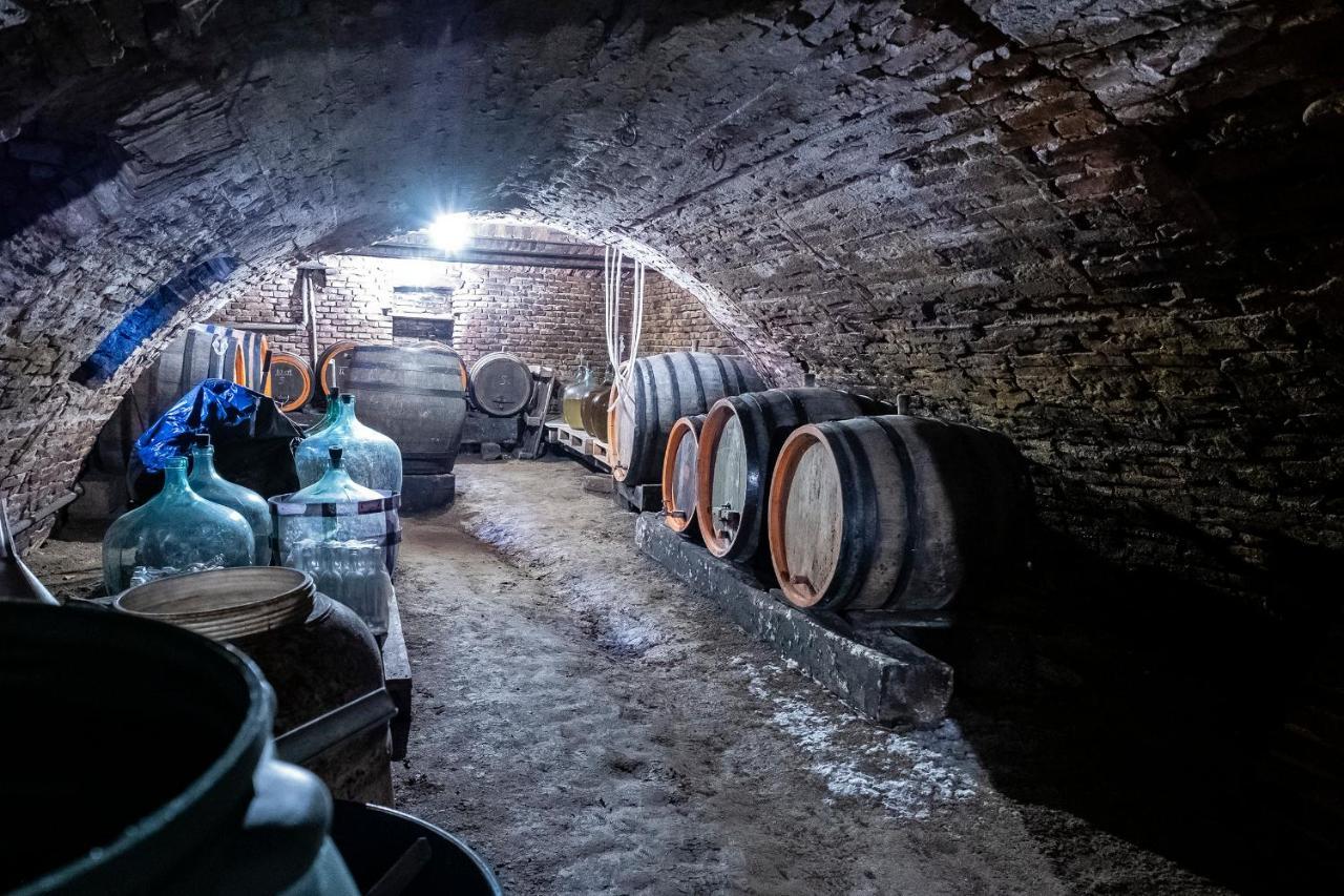 Villa Rihuini Eco Wine House Transylvania Richisu Εξωτερικό φωτογραφία
