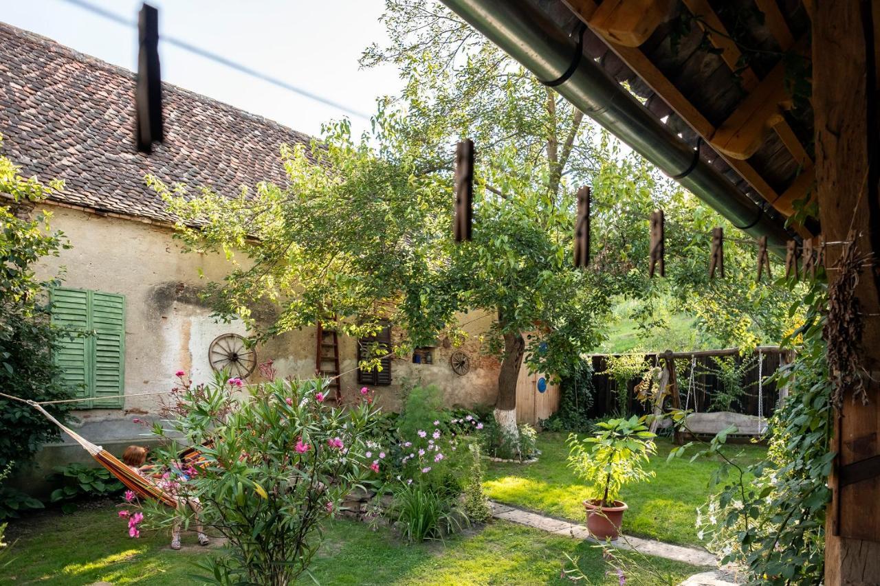 Villa Rihuini Eco Wine House Transylvania Richisu Εξωτερικό φωτογραφία