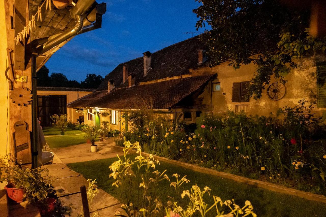 Villa Rihuini Eco Wine House Transylvania Richisu Εξωτερικό φωτογραφία