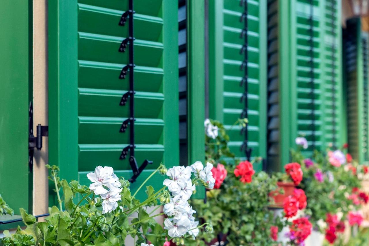 Villa Rihuini Eco Wine House Transylvania Richisu Εξωτερικό φωτογραφία