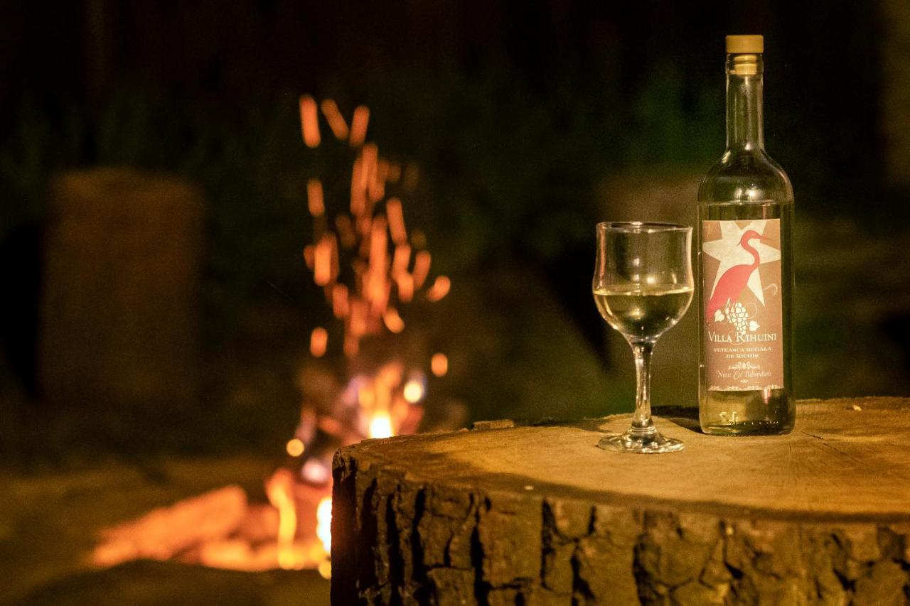 Villa Rihuini Eco Wine House Transylvania Richisu Εξωτερικό φωτογραφία