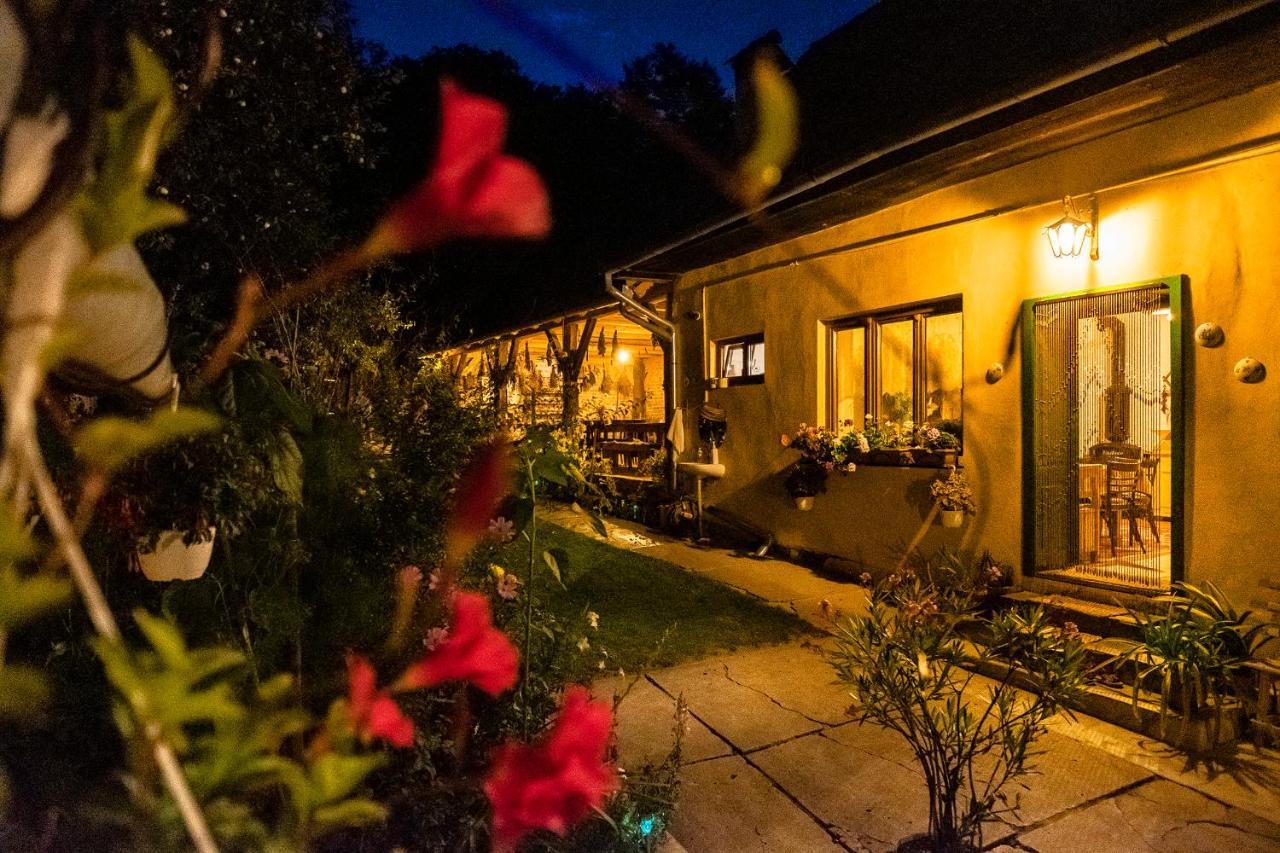 Villa Rihuini Eco Wine House Transylvania Richisu Εξωτερικό φωτογραφία