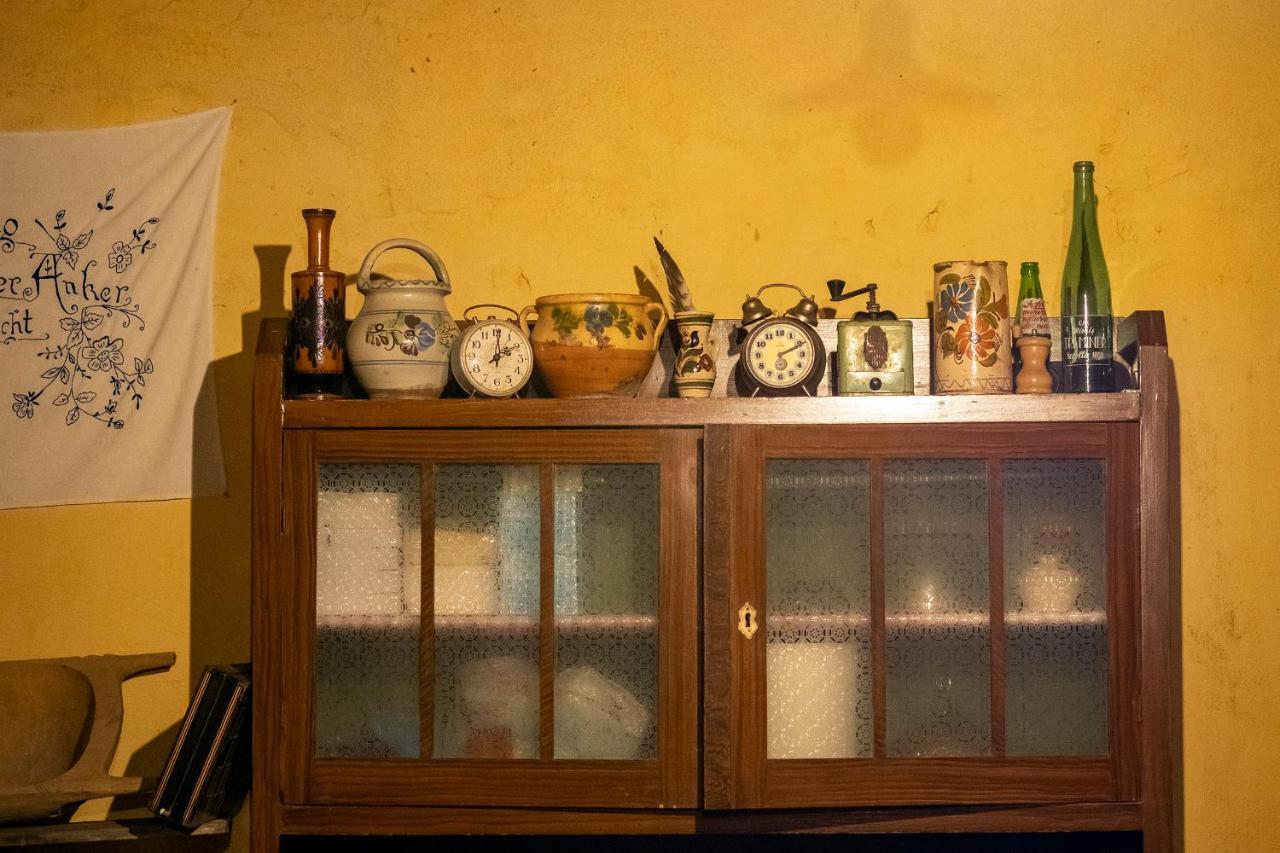 Villa Rihuini Eco Wine House Transylvania Richisu Εξωτερικό φωτογραφία