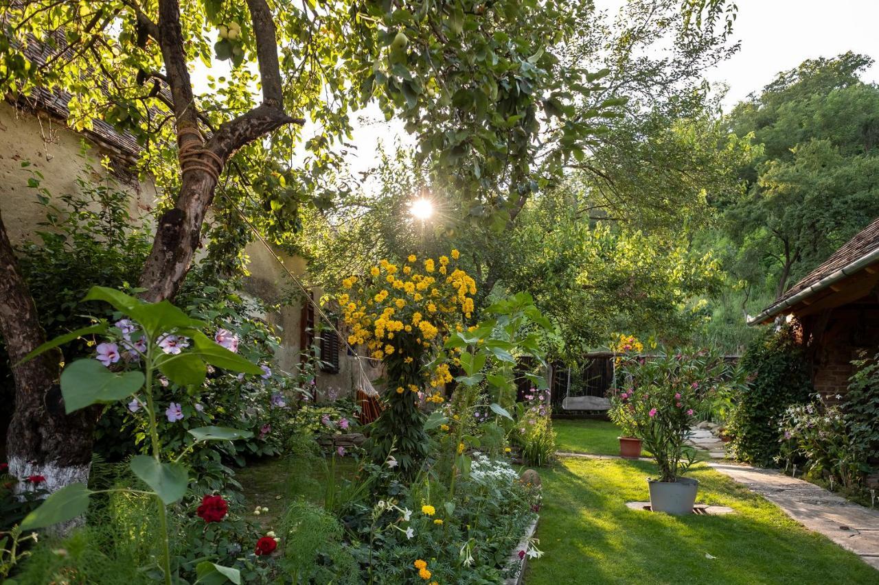 Villa Rihuini Eco Wine House Transylvania Richisu Εξωτερικό φωτογραφία