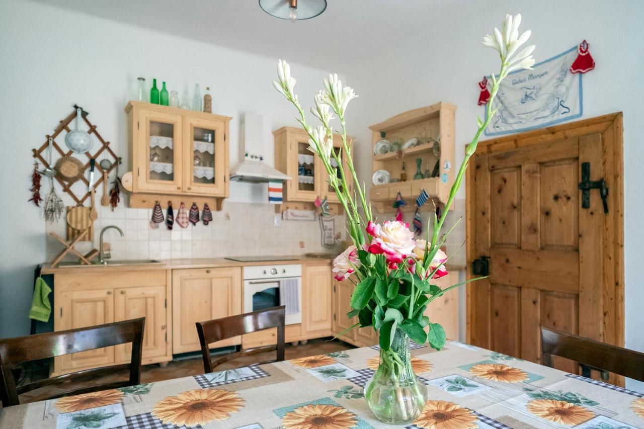 Villa Rihuini Eco Wine House Transylvania Richisu Εξωτερικό φωτογραφία
