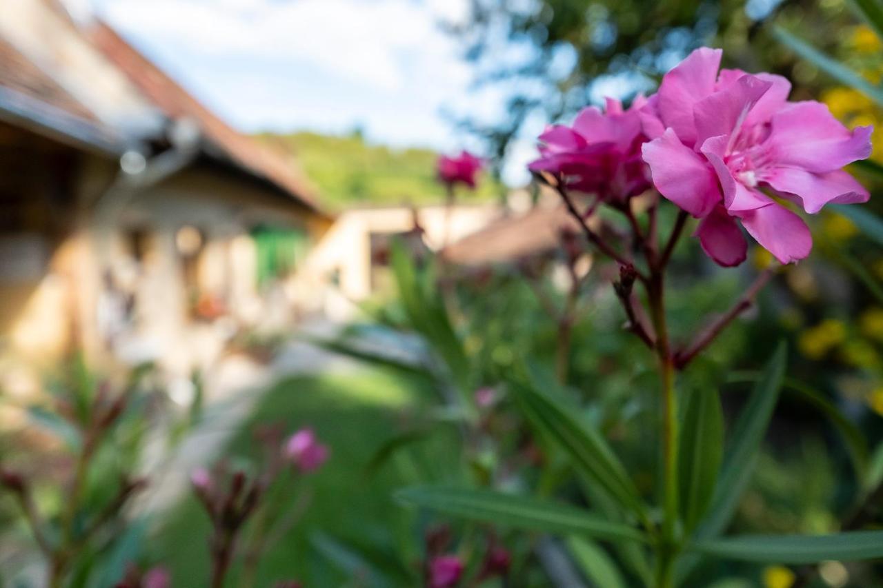 Villa Rihuini Eco Wine House Transylvania Richisu Εξωτερικό φωτογραφία