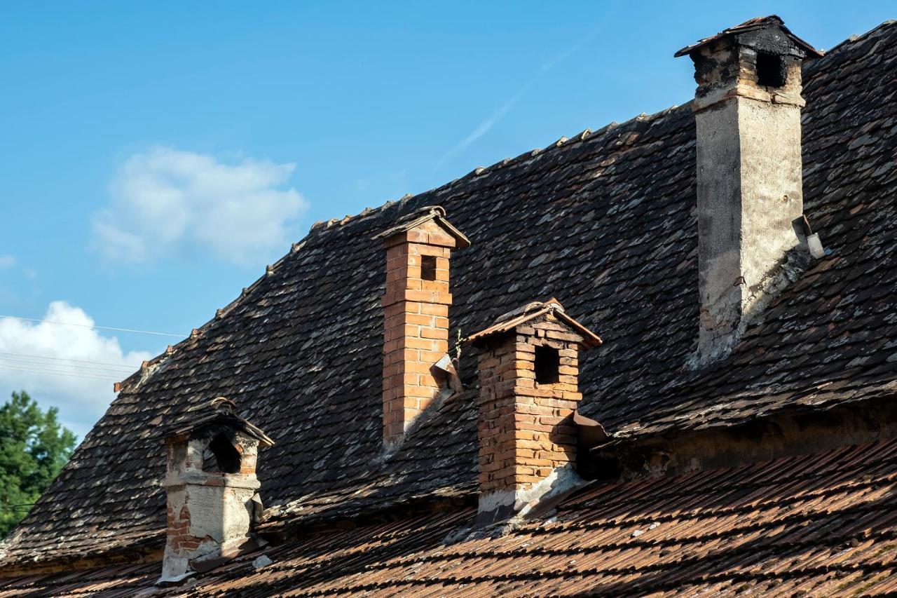 Villa Rihuini Eco Wine House Transylvania Richisu Εξωτερικό φωτογραφία