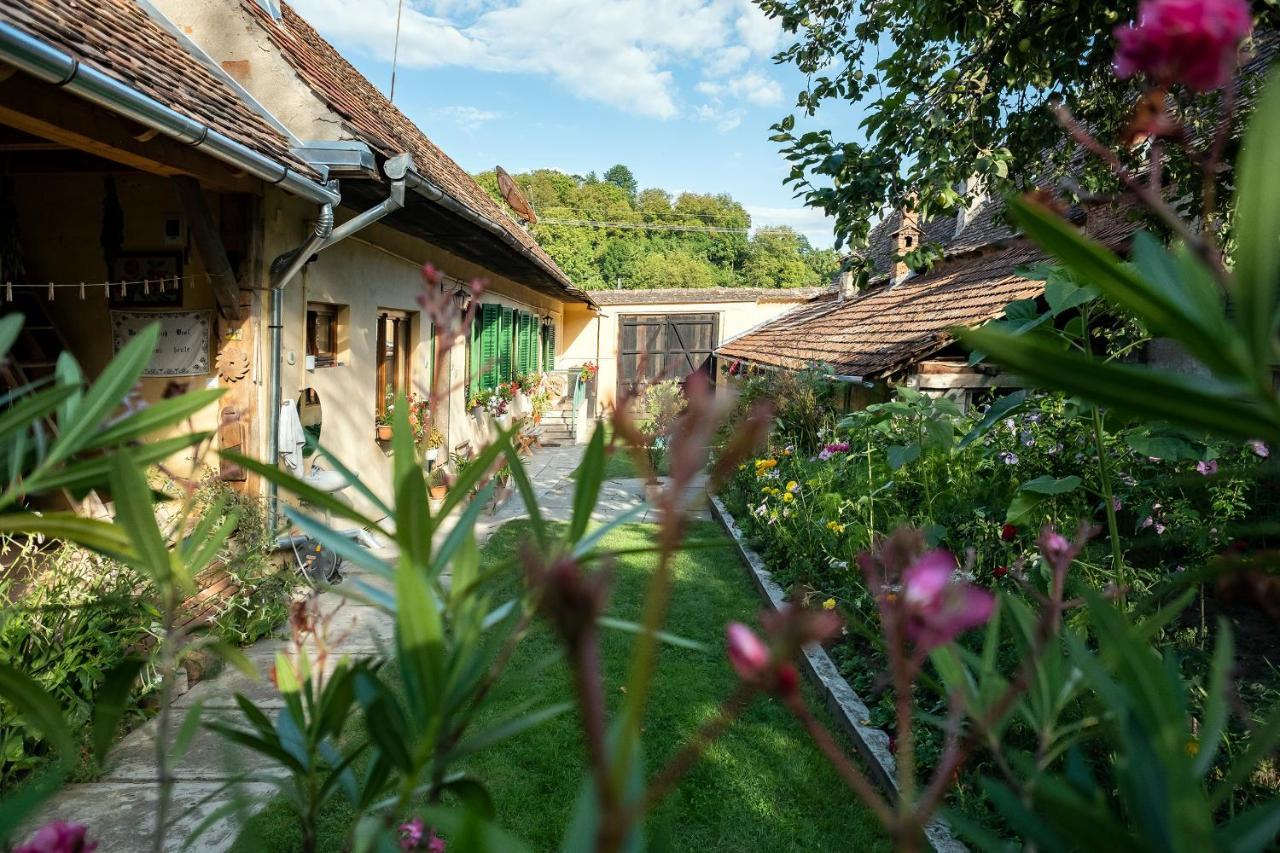 Villa Rihuini Eco Wine House Transylvania Richisu Εξωτερικό φωτογραφία