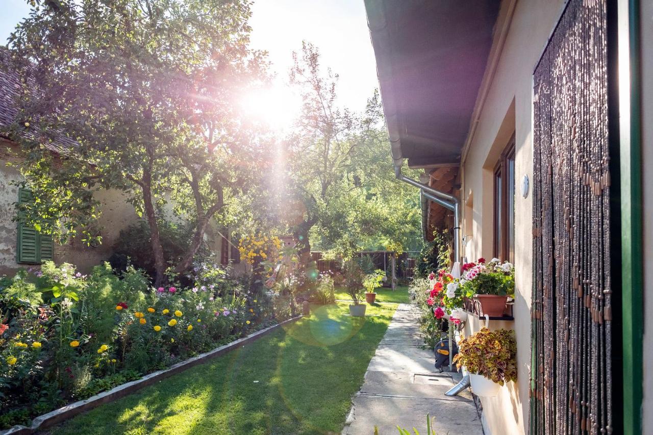 Villa Rihuini Eco Wine House Transylvania Richisu Εξωτερικό φωτογραφία