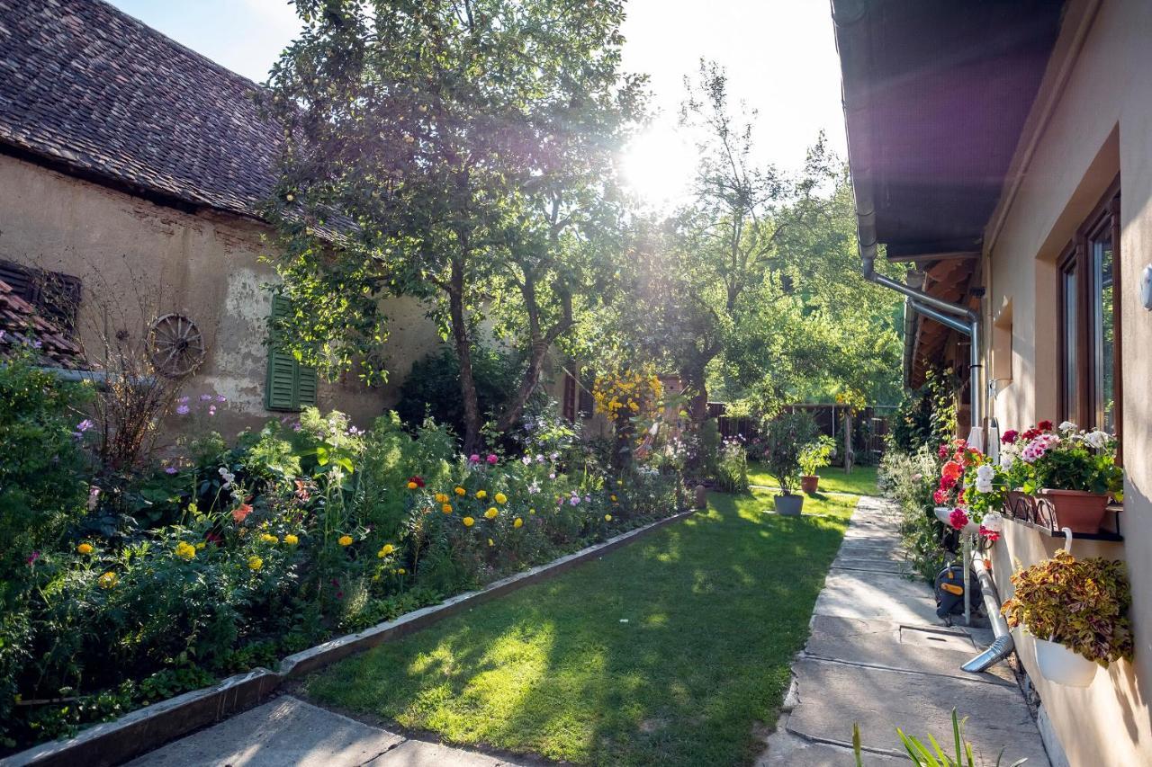 Villa Rihuini Eco Wine House Transylvania Richisu Εξωτερικό φωτογραφία