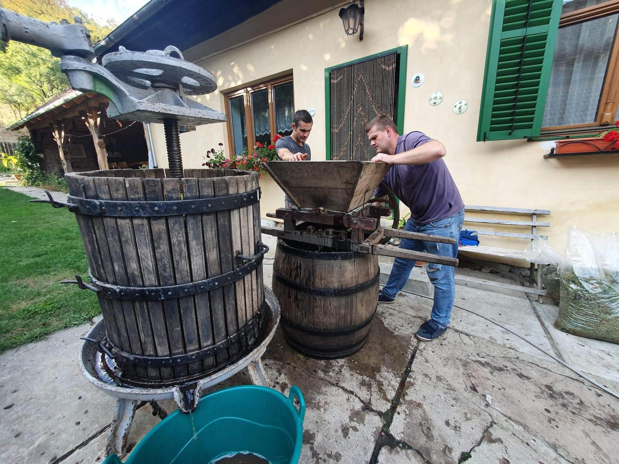 Villa Rihuini Eco Wine House Transylvania Richisu Εξωτερικό φωτογραφία
