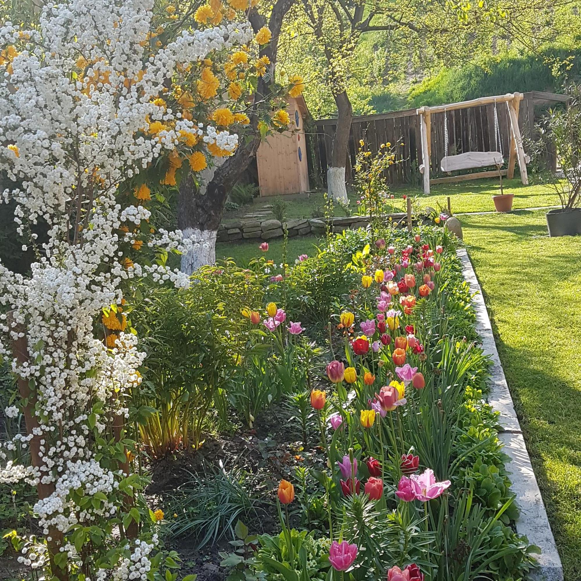 Villa Rihuini Eco Wine House Transylvania Richisu Εξωτερικό φωτογραφία